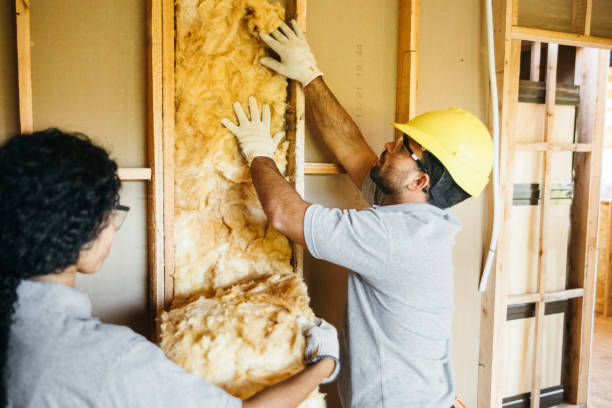 Best Insulation for New Construction  in Bloomingdale, IL